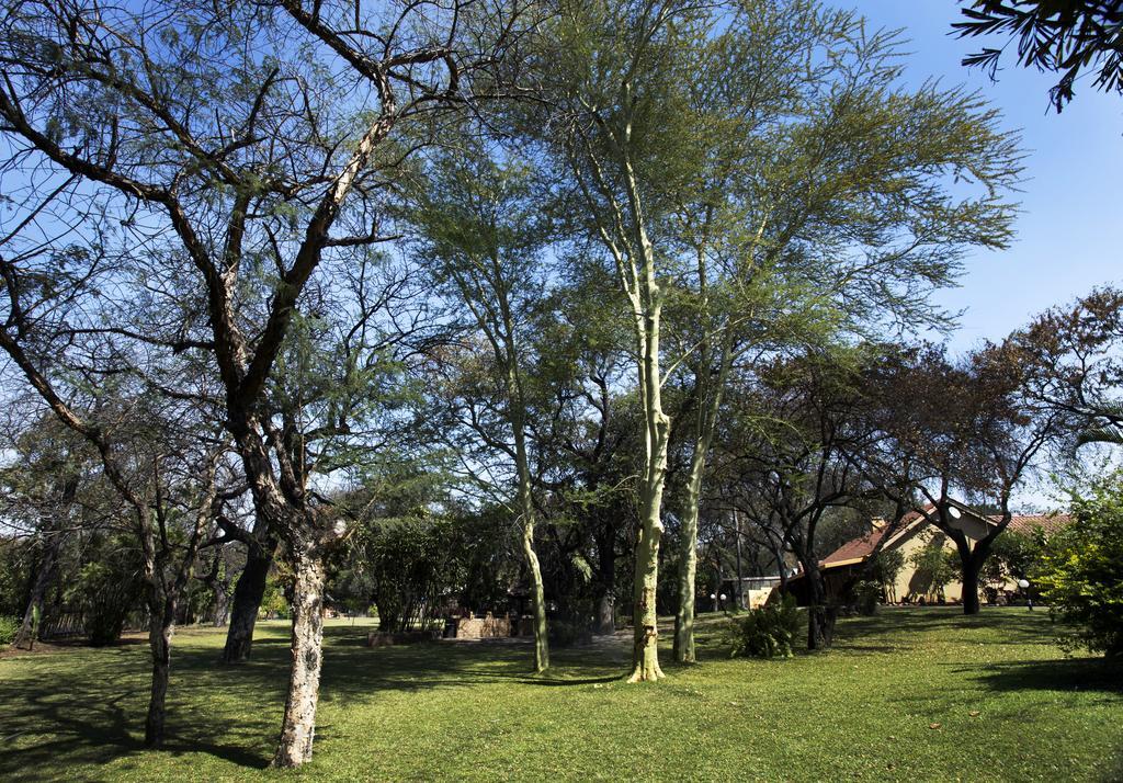 Sunbird Lodge Phalaborwa Exteriör bild