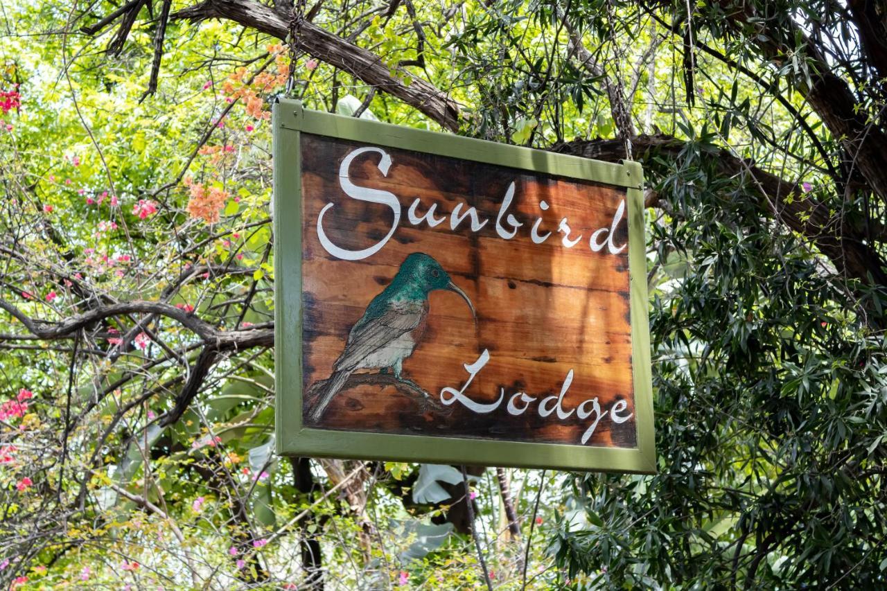 Sunbird Lodge Phalaborwa Exteriör bild