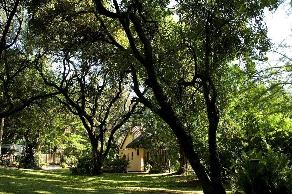 Sunbird Lodge Phalaborwa Exteriör bild