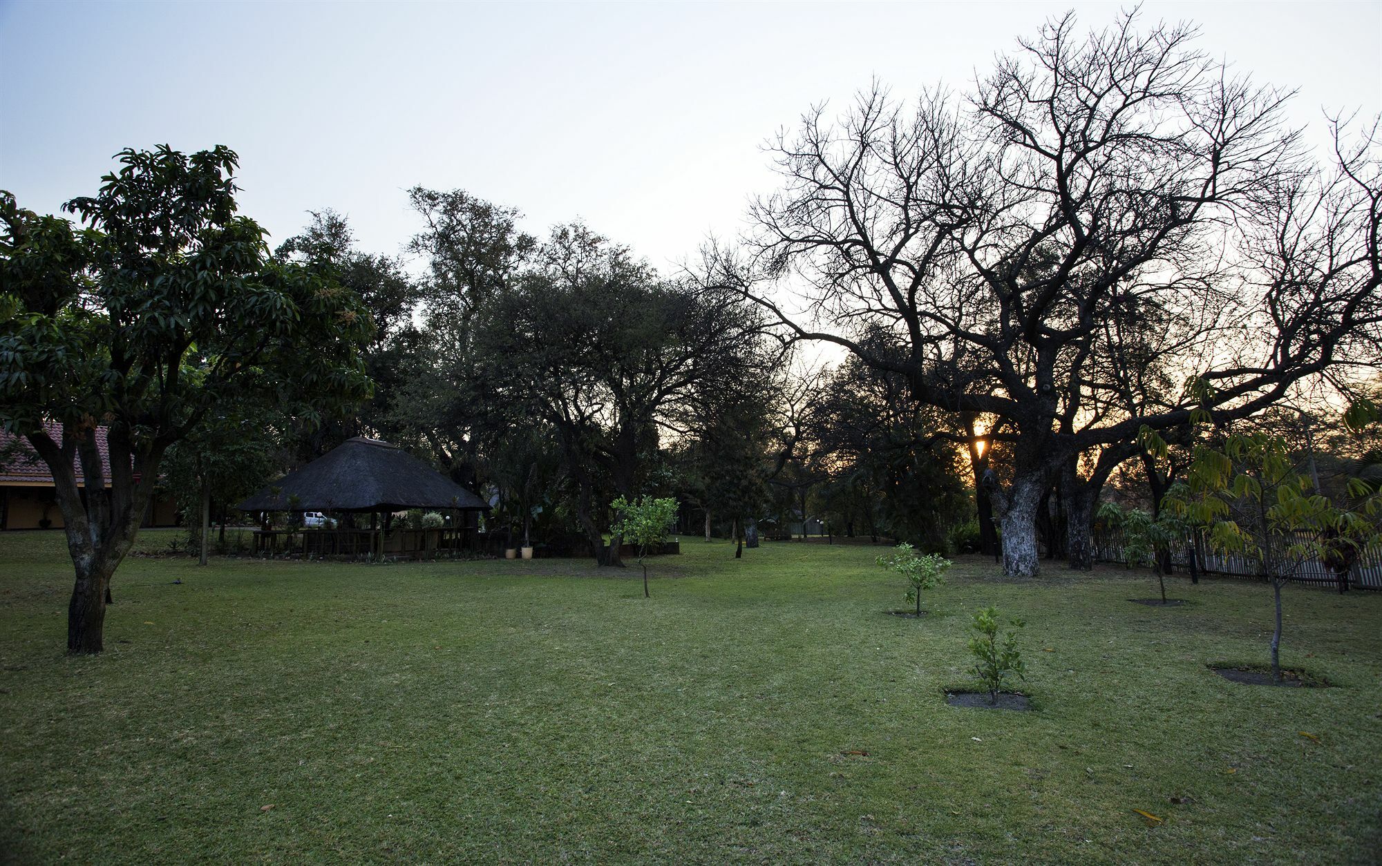 Sunbird Lodge Phalaborwa Exteriör bild